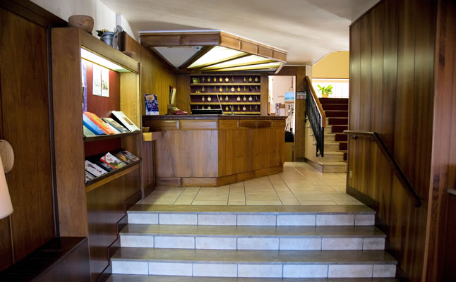 The reception area and lobby of the Hotel Turin