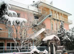 The Lodge